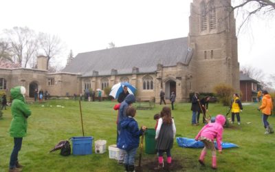 Giving Community Orchards a Head Start – With Free Fruit Tree Care Training and Trees!