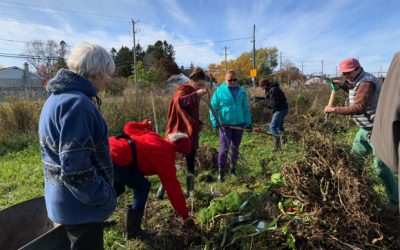 The 2021 Edible Grant Winners are…….